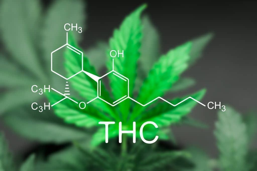 The THC what it is exactly?